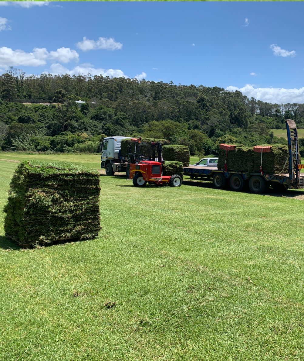 Evergreen-lawns-loading-for-collectoin